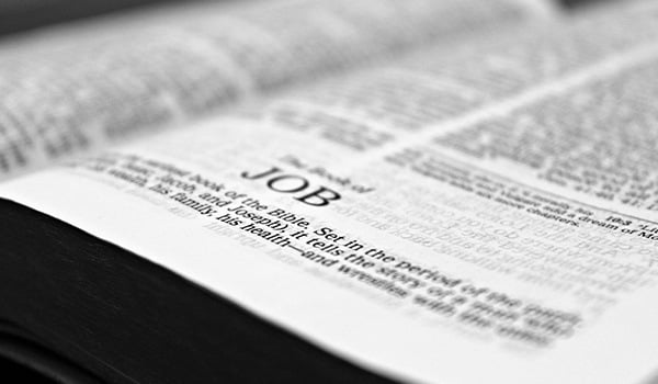 Bible open to Job