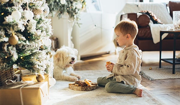 boy sitting with pet at Christmas tree