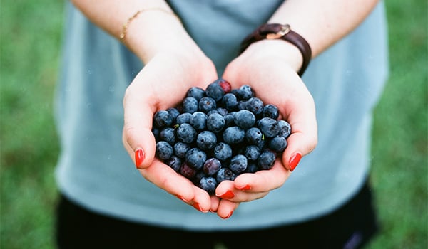 hands holding blueberries