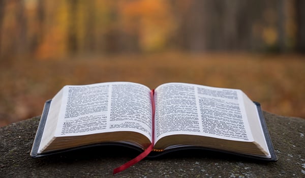 open bible in on concrete post