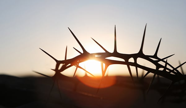 Crown of thorns
