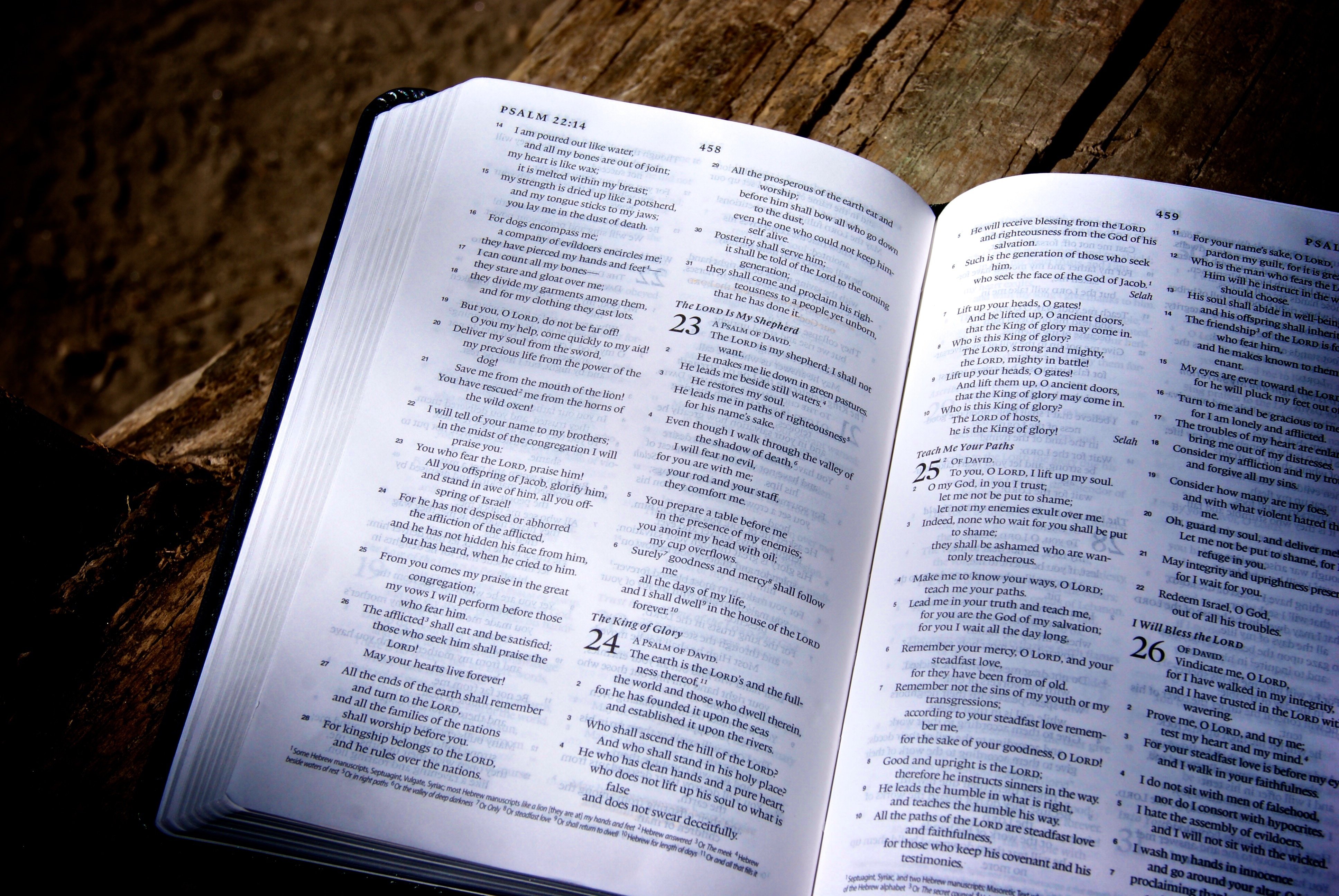 IMAGE_BibleOpen
