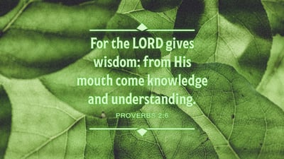Proverbs 2:6 on a decorative background