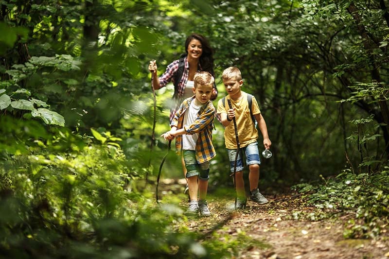 Mom and sons hiking in the woods