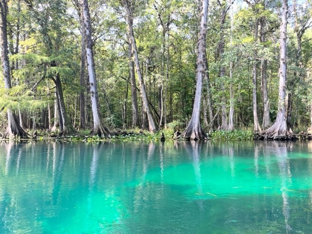 Camping by a Florida spring