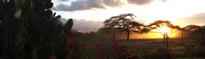 christian-healthcare-travels-with-a-purpose-blog-1.jpg