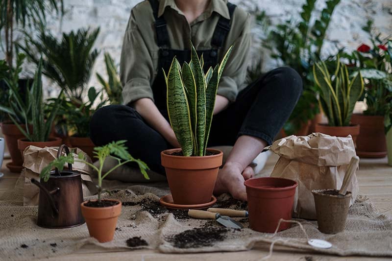 Woman planting in pots