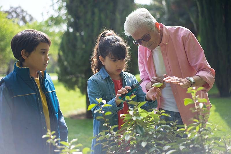 Grandpa gardening with her grandkids