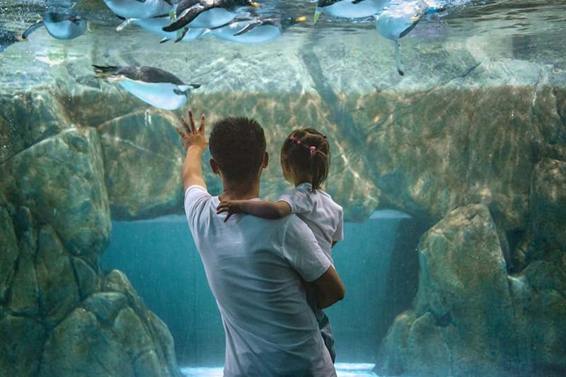 Father and daughter at an aquarium