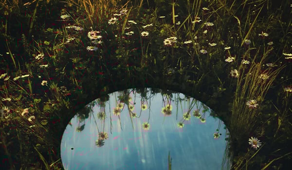 Mirror with wildflowers around