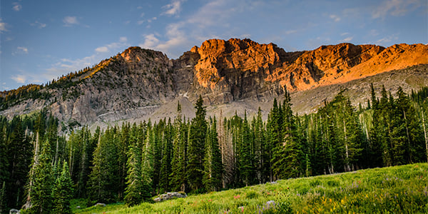 Rocky mountain peaks glowing in warm sunlight above an evergreen forest and green meadow