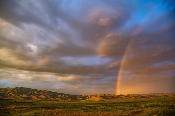 Rainbow breaking through dramatic clouds over golden rolling hills and a grassy field