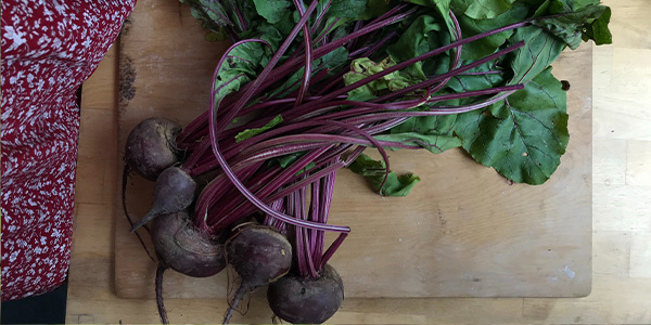 beets 300x600