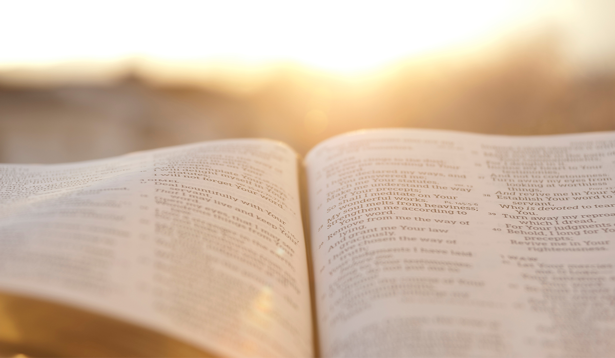 bible