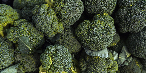 broccoli 300x600