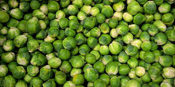 brussel sprouts 300x600