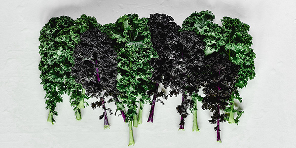 bunches of kale 300x600