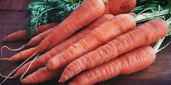carrots 300x600