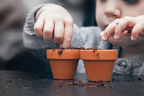 child planting seeds-1