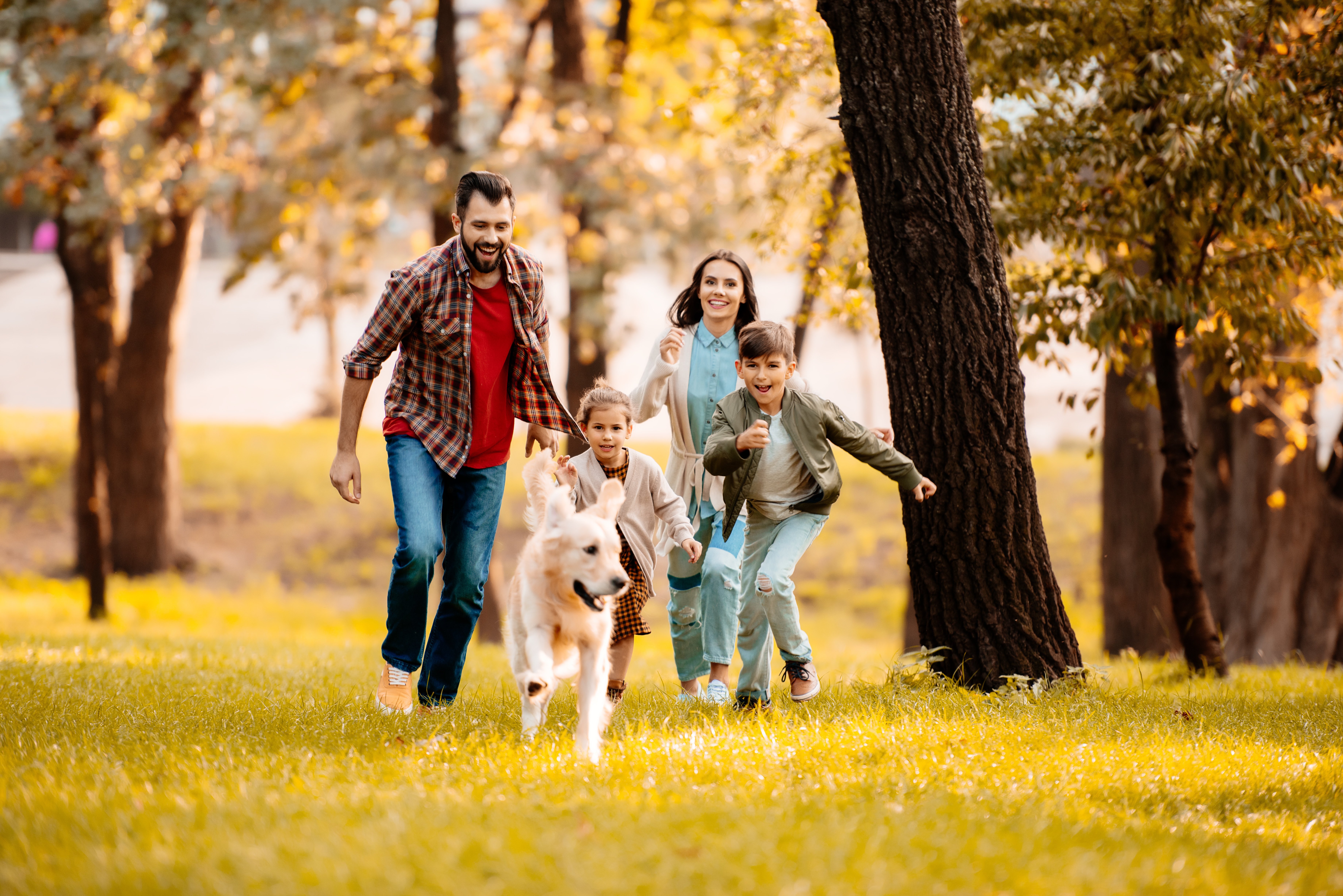 family young running dog outdoors fall autumn__175203895