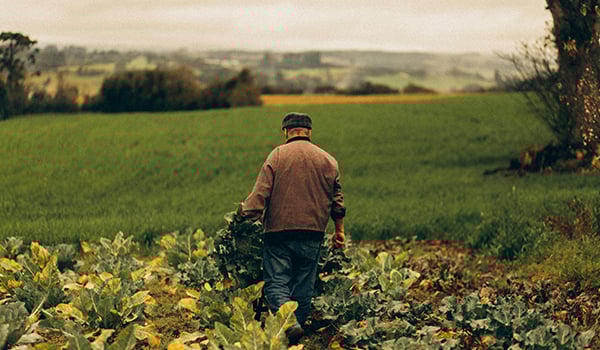 farmer man walking in field