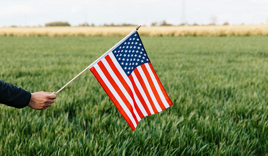 hand holding flag in field