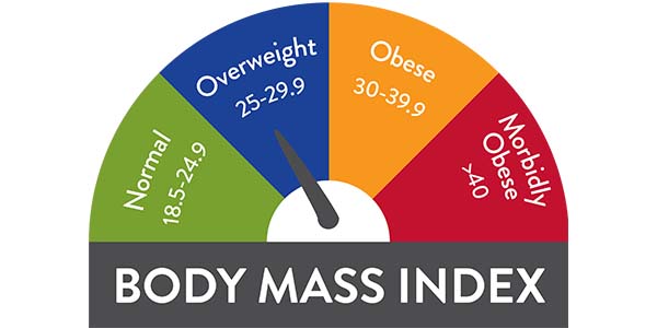 Body mass index gauge: normal 18.5 to 24.9, overweight 25 to 29.9, obese 30 to 39.9, morbidly obese over 40