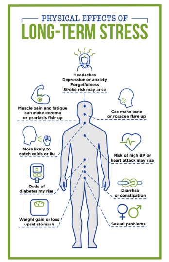 infographic about physical effects of long-term stress