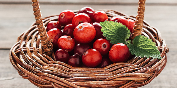 cranberries in a basket 