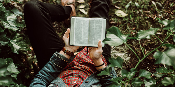 Person lying among ivy and leaves outdoors, reading a small open Bible