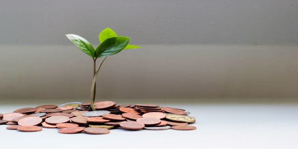 Small green plant sprouting from a pile of coins