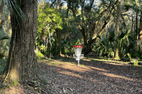 Disc golf basket in a wooded park