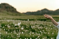 Woman in a field throwing flowers into the wind