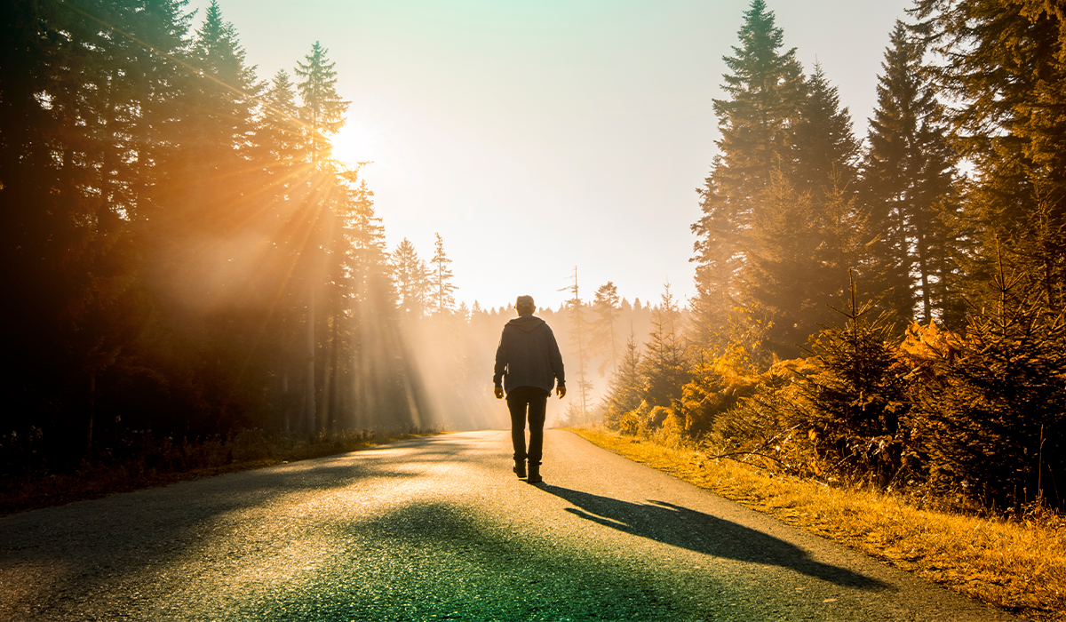 Person walks along a road through a forest as sunlight filters between tall trees.